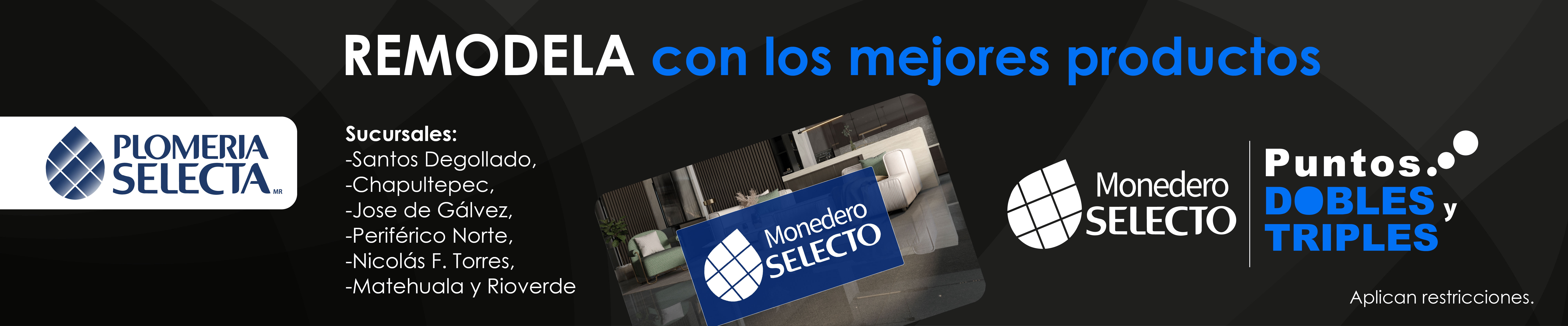 Plomeria selecta banners